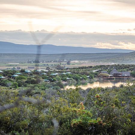 Buffelsdrift Game Lodge Oudtshoorn Exteriér fotografie