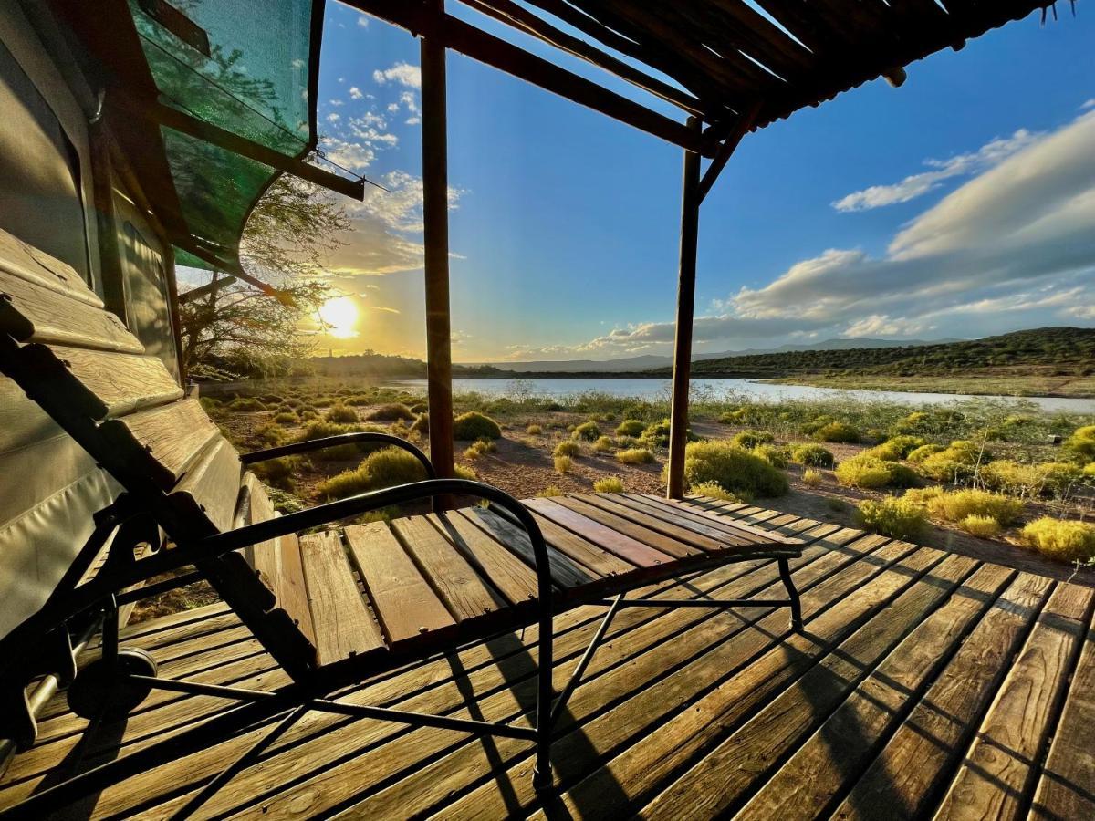 Buffelsdrift Game Lodge Oudtshoorn Exteriér fotografie