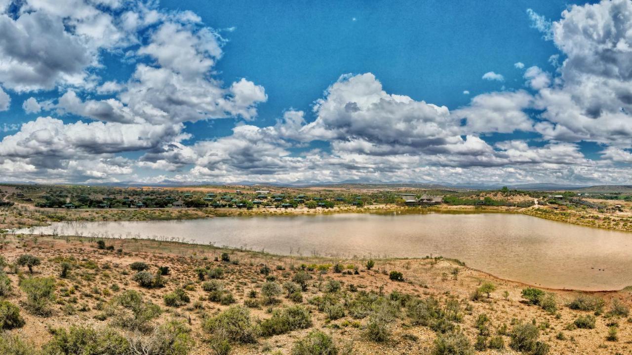 Buffelsdrift Game Lodge Oudtshoorn Exteriér fotografie