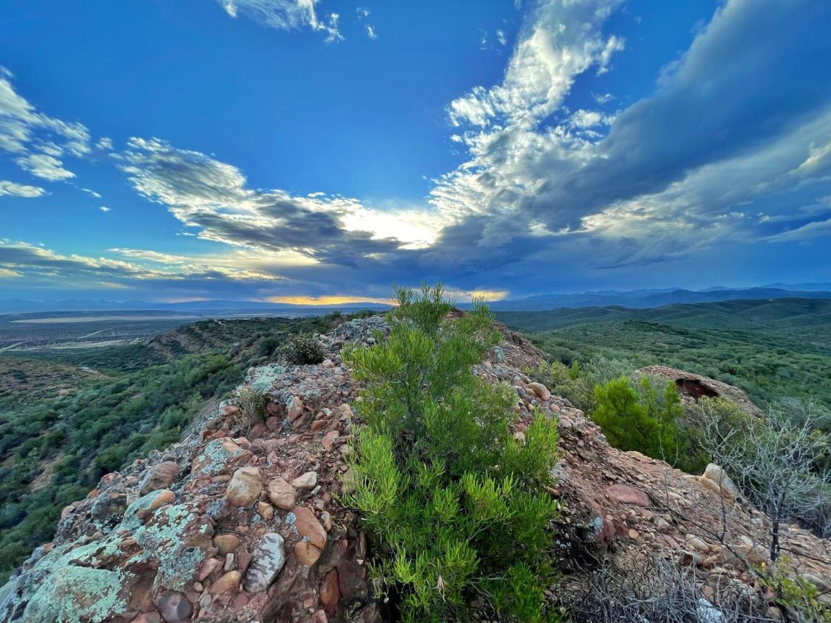 Buffelsdrift Game Lodge Oudtshoorn Exteriér fotografie