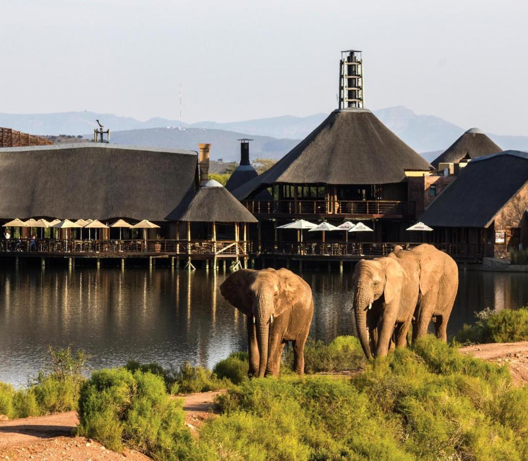 Buffelsdrift Game Lodge Oudtshoorn Exteriér fotografie