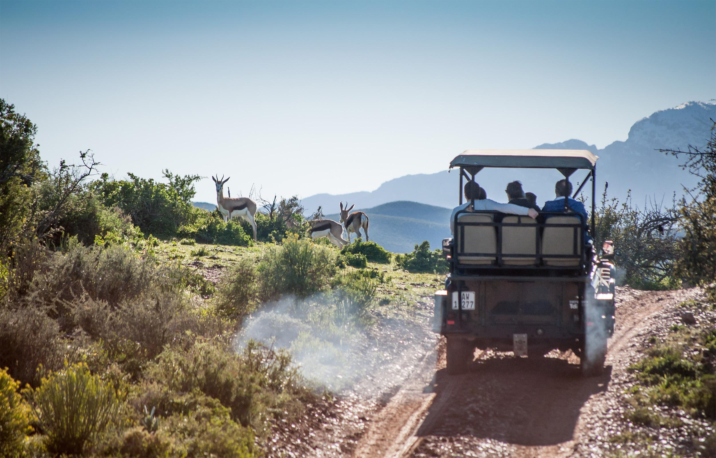 Buffelsdrift Game Lodge Oudtshoorn Exteriér fotografie