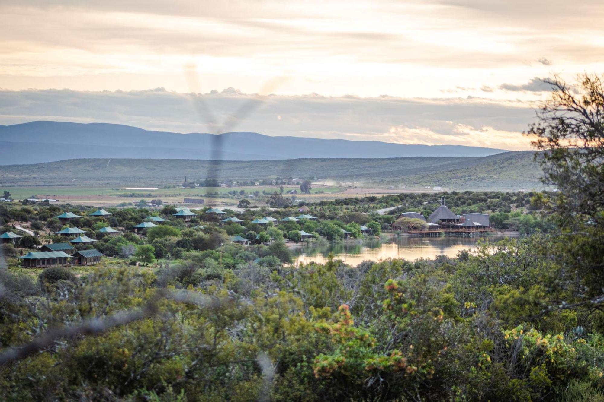 Buffelsdrift Game Lodge Oudtshoorn Exteriér fotografie