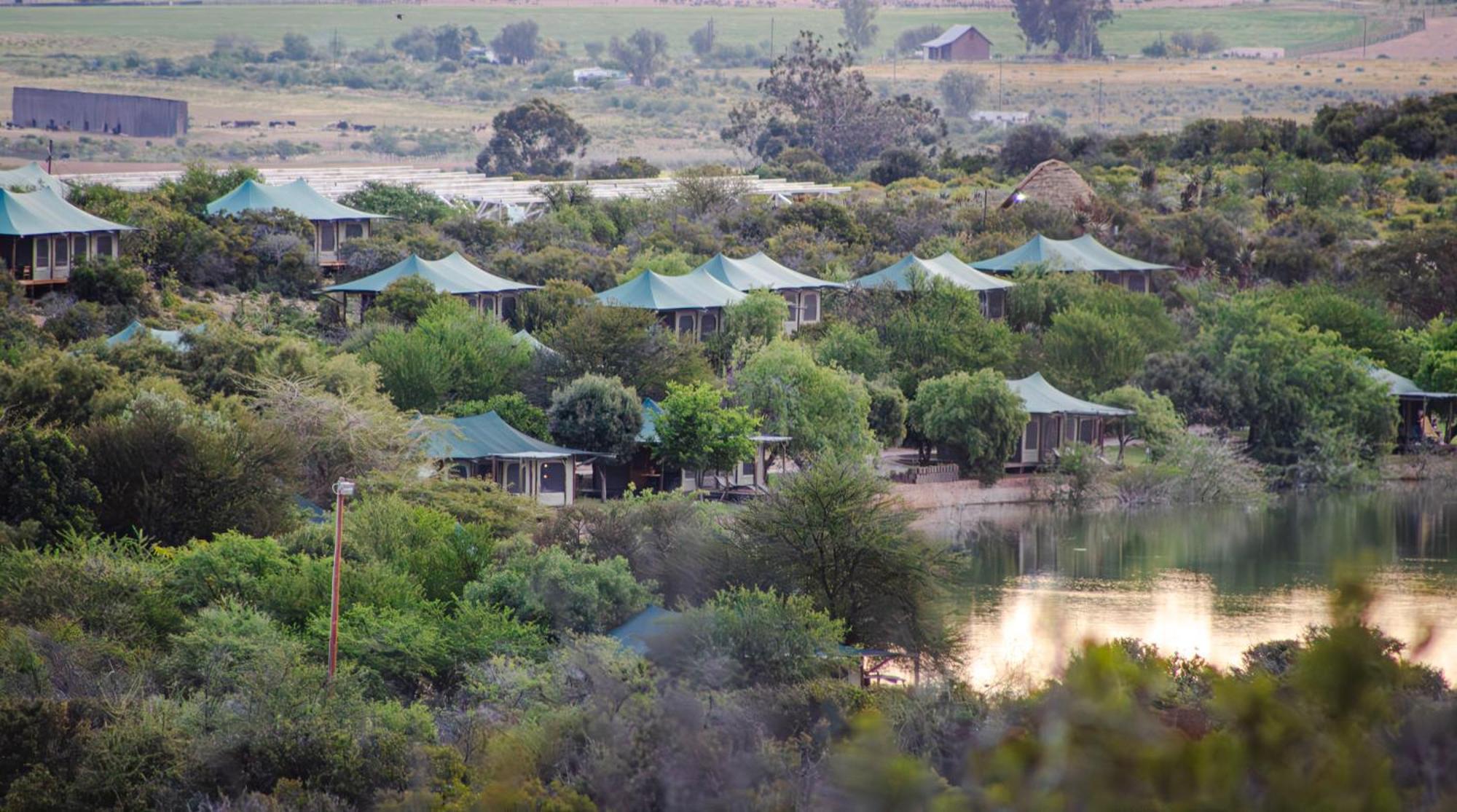 Buffelsdrift Game Lodge Oudtshoorn Exteriér fotografie