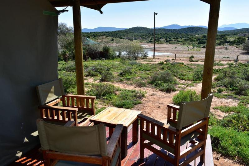 Buffelsdrift Game Lodge Oudtshoorn Pokoj fotografie