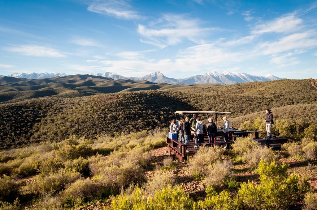 Buffelsdrift Game Lodge Oudtshoorn Exteriér fotografie