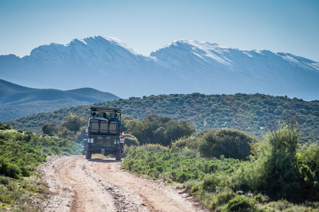 Buffelsdrift Game Lodge Oudtshoorn Exteriér fotografie