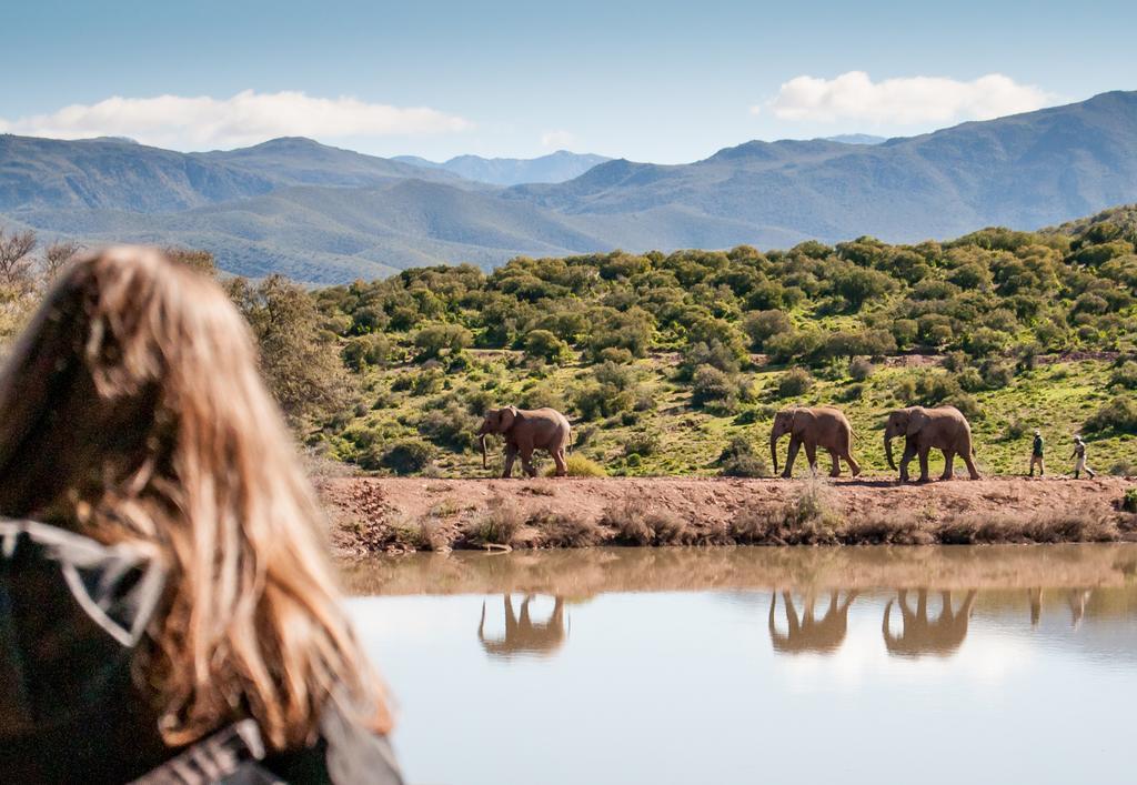 Buffelsdrift Game Lodge Oudtshoorn Exteriér fotografie