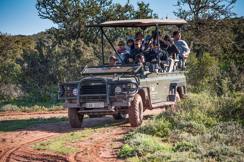 Buffelsdrift Game Lodge Oudtshoorn Exteriér fotografie